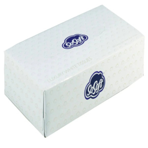 Professional Facial Tissues (Box of 100)